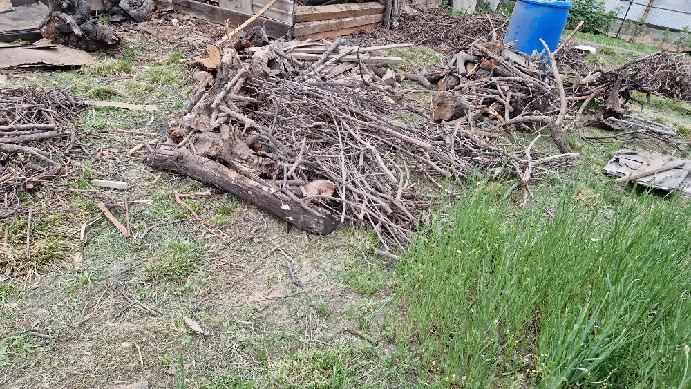 Площадка с древесными отходами и травой