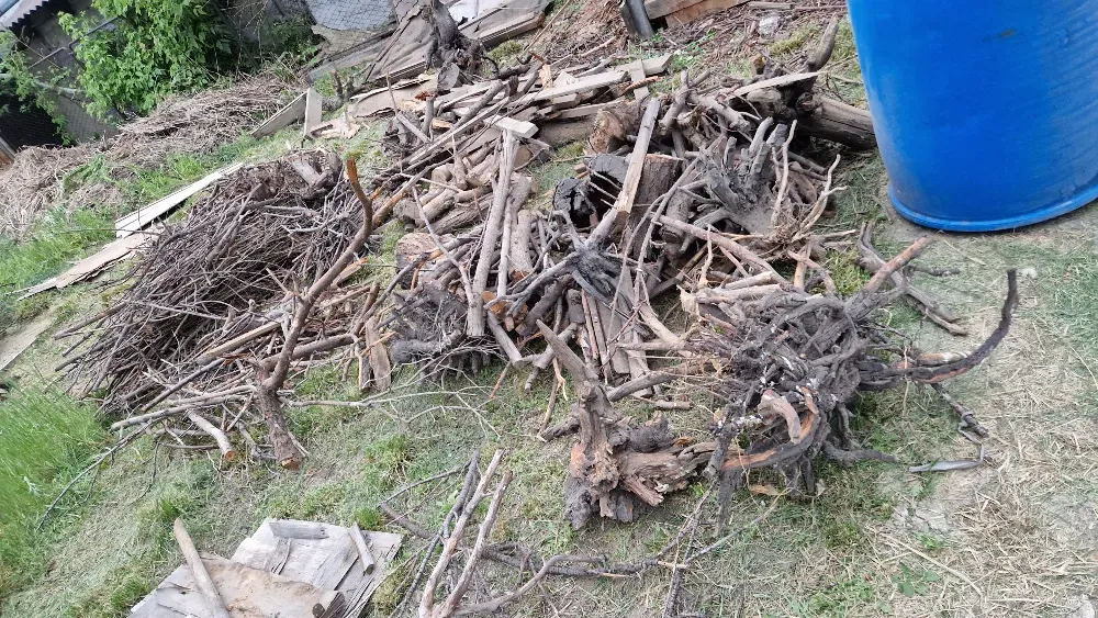 Куча веток и древесных обрезков на фоне участка