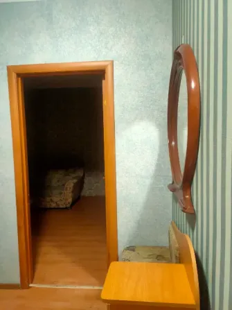 Айна мен қонақ бөлмесіне шығатын коридор