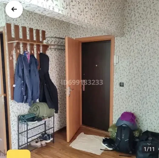 Киім ілгіштерімен прихожая, ашық есікпен және есік жанындағы әртүрлі заттармен.