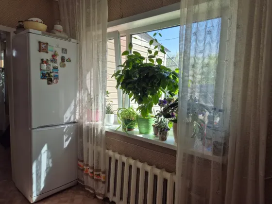 Кухня с окном и растениями на подоконнике