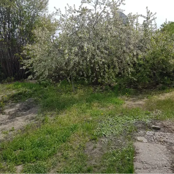 Продам 2/3 дома на Контрольном Семей