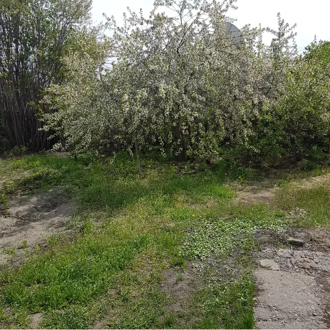 көкөніс бақшалары мен шаруашылық құрылымдары бар учаске