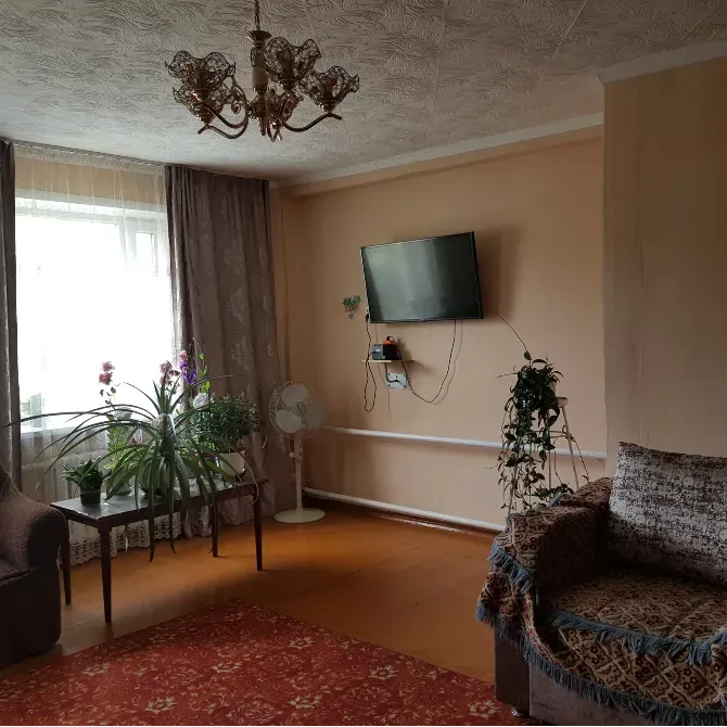 теледидар мен өсімдіктері бар жарық бөлме