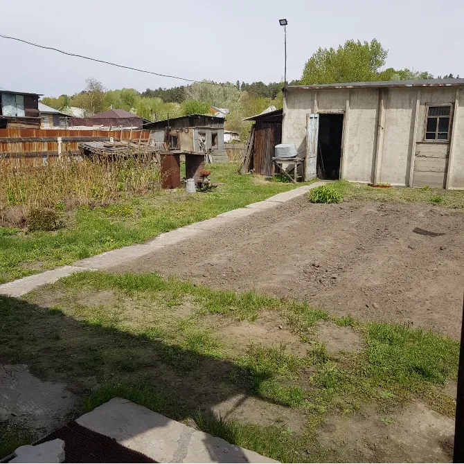 бақтағы гүлдейтін ағаш