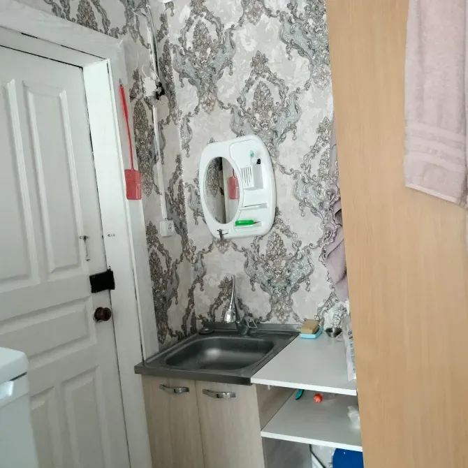 Маленькая кухня с раковиной, гладкой стеной и элементами декора