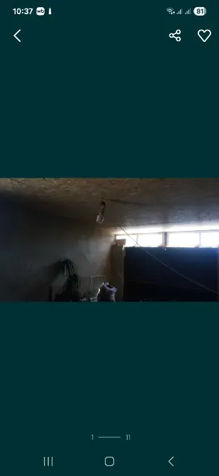 Терезелері және қабырғаларында гүлдері бар бөлме