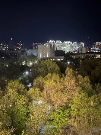 Ночной городской пейзаж с освещенными зданиями и зелеными деревьями