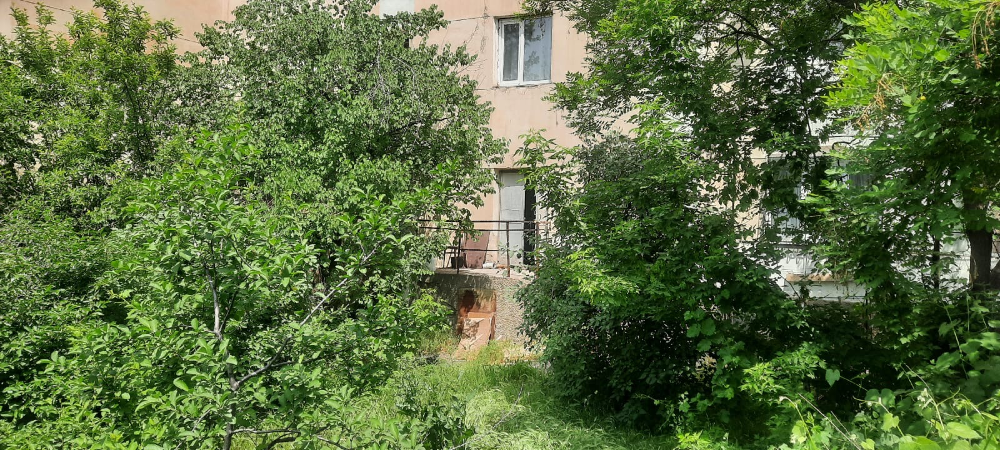 Заброшенный сад рядом с жилым домом