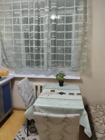 Кухня с обеденным столом и растением