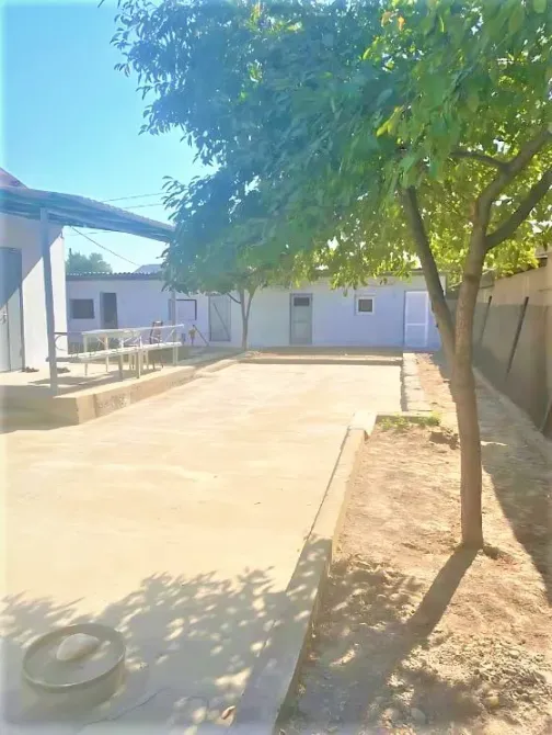 Ағашы бар аула мен демалыс алаңы