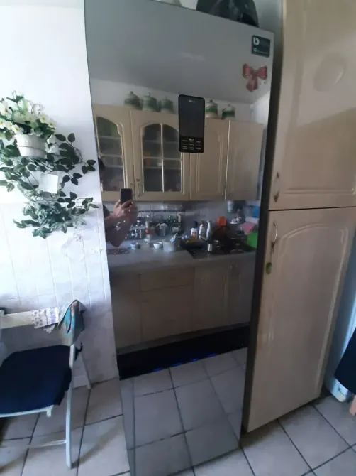 Қазіргі заманғы тоңазытқыш ас үйде айна бетімен, жиһаз және жасыл өсімдіктермен қатар орналасқан.