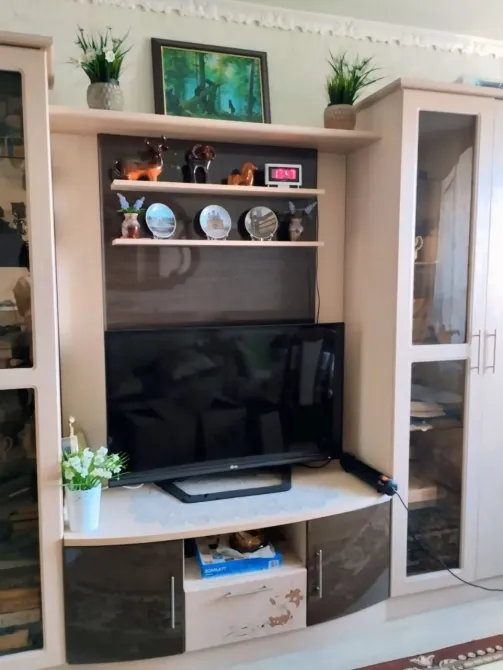 Интерьер комнаты с телевизором и полками для украшений