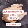 2.5 кг салмақтағы бройлерлік үй тауықтары қара фонмен.