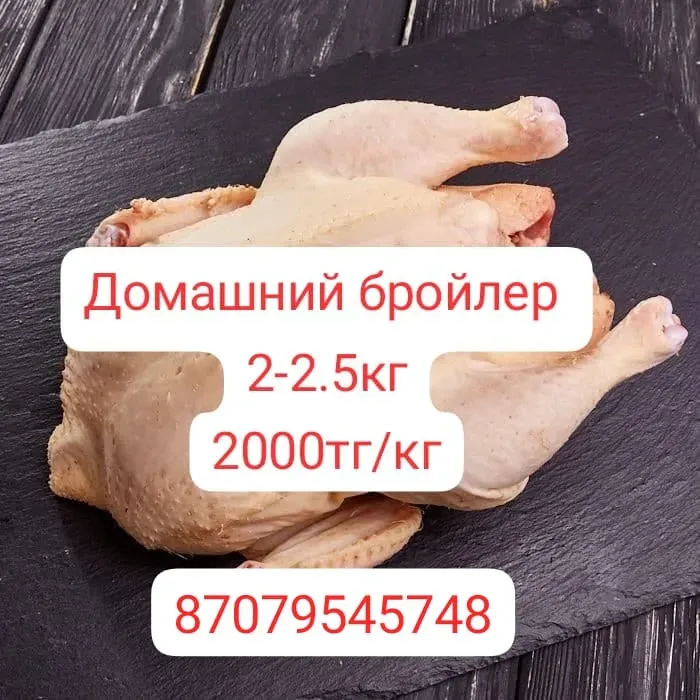 Курица домашняя бройлер весом 2.5 кг на чёрном фоне