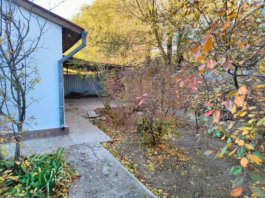 Ағаштары мен күзгі жапырақтары бар бақ