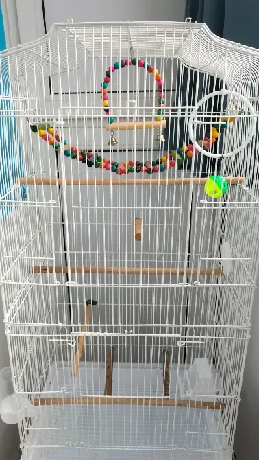 Құстарға ыңғайлы кең құс клеткасы