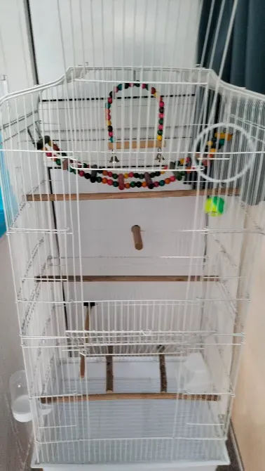 Жарқын сақина мен ойыншықпен ұзақ коллекциялы құс клеткасы