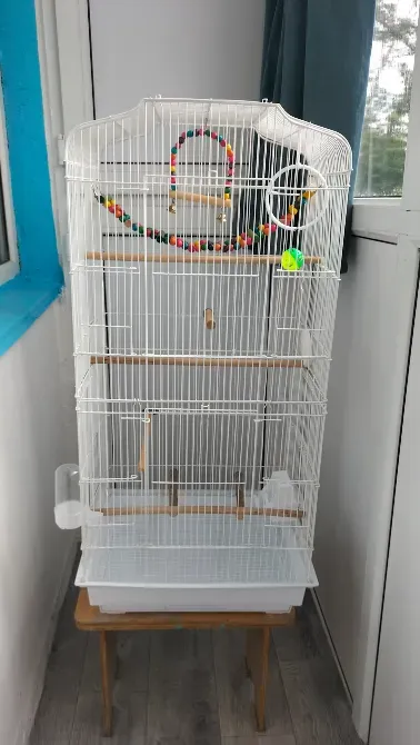 Тұғырдағы құс клеткасы жарқын безендірумен және ойыншықтармен