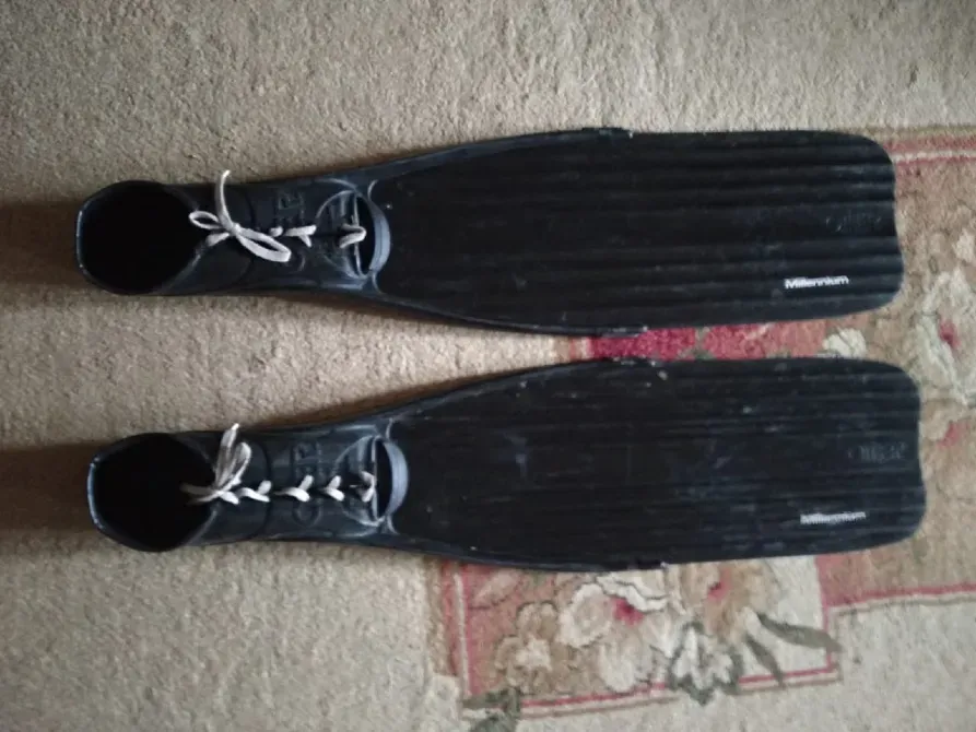 Суға сүңгу үшін ласты