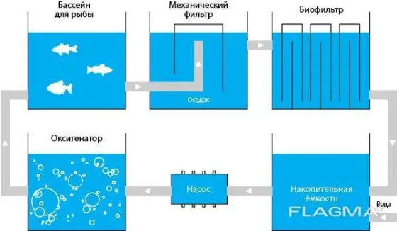 Бассейны для разведения рыбы в помещении