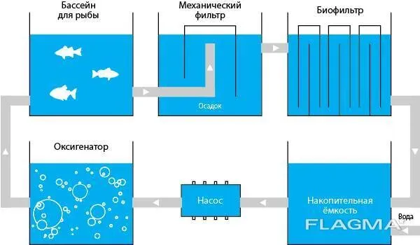 Схема системы очистки воды для аквариумов и рыбных бассейнов