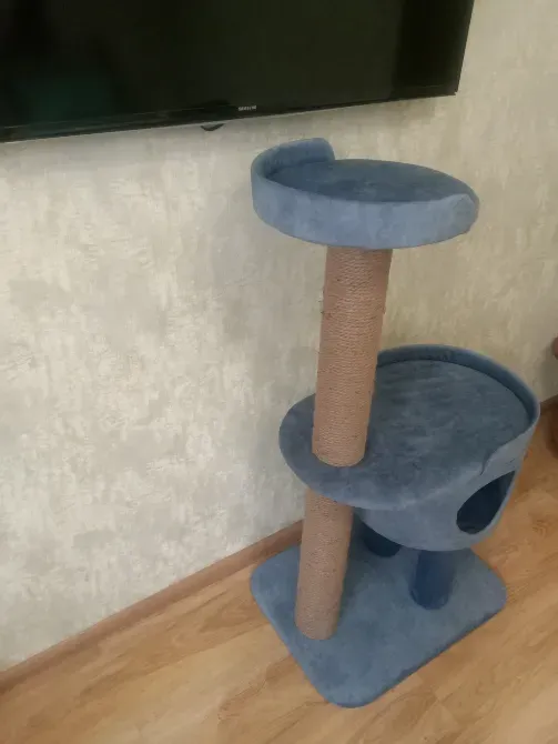 Мысықтар үшін ойындар мен демалысқа арналған екі деңгейлі, жарқын дизайны бар когтеточка