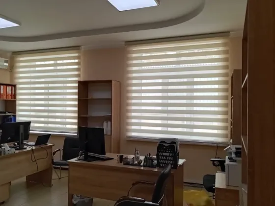 Современный стоматологический кабинет с зелеными жалюзи на окнах и листьевым рисунком на потолке