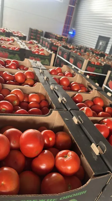 Құрылыс қоймасында қызыл помидорлармен толтырылған жәшіктер.