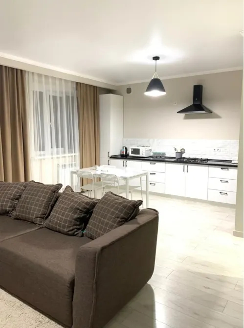 Бір бөлмеде диван мен асүйі бар қонақ бөлме