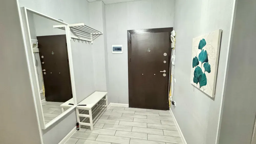 Прихожая с зеркалом и входной дверью