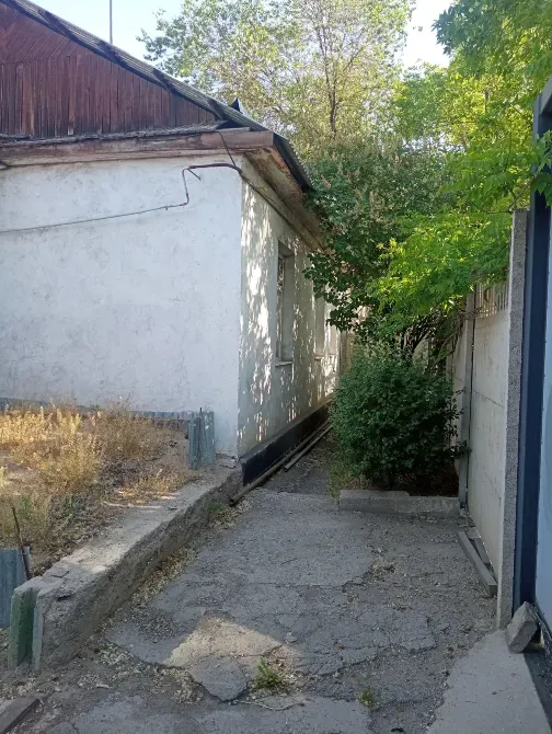 Узкий проход рядом с домом, окруженный зеленью