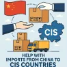 Қытайдан ТМД елдеріне импорт жасауға көмек