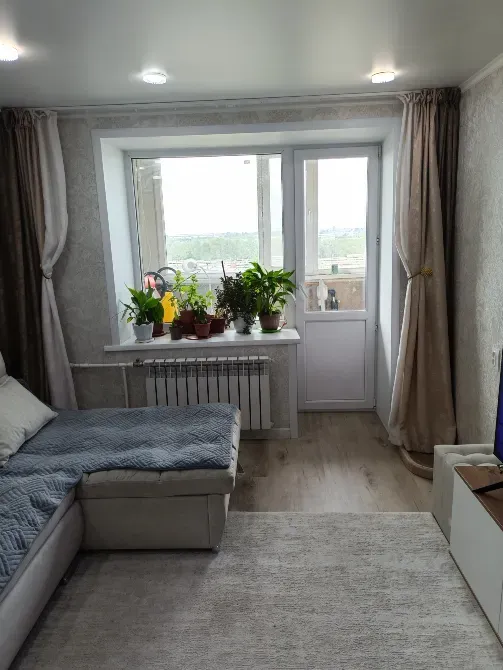 Теріскелегі өсімдіктерімен қонақ бөлме