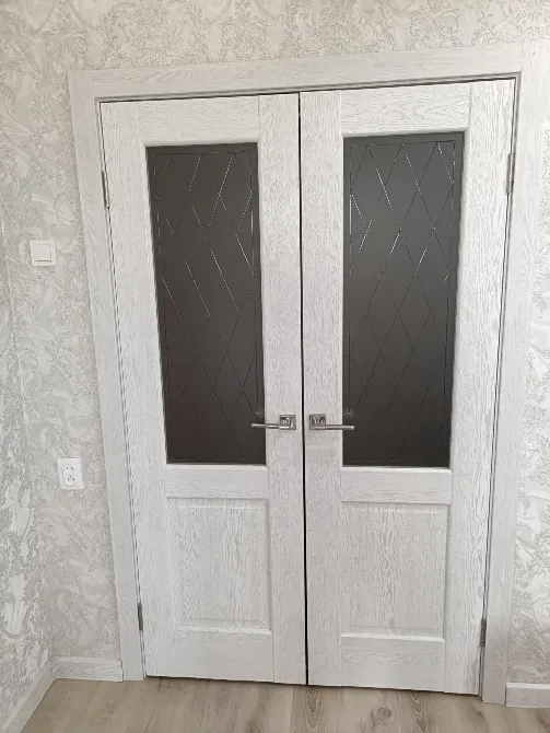 әйнек кірістірулері бар қос есік.