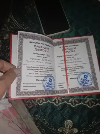 Диплом, наполненный текстом на русском языке