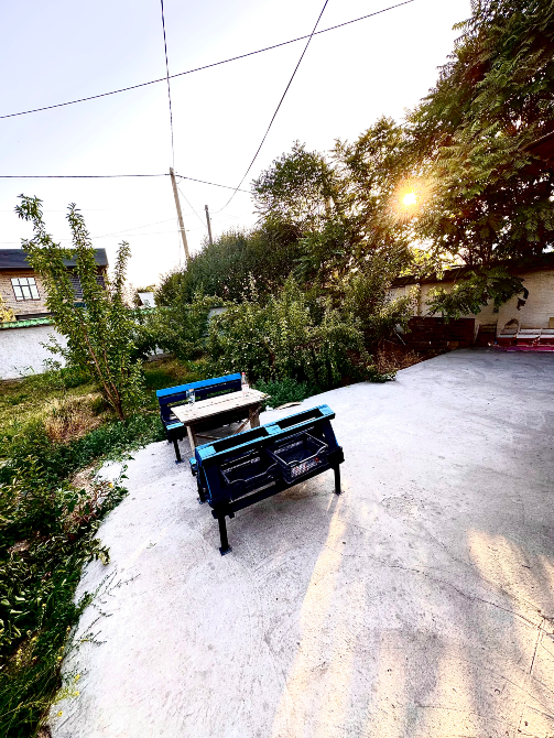 Уютная зона для отдыха с мебелью и зелеными растениями