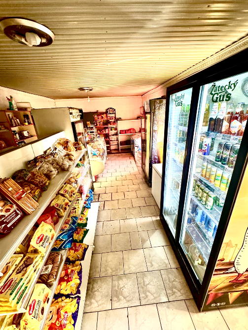 Частный дом под бизнес. Шымкент - изображение 1