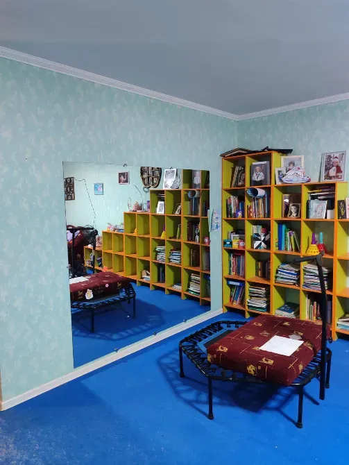 Комната с зеркалом и книжными полками