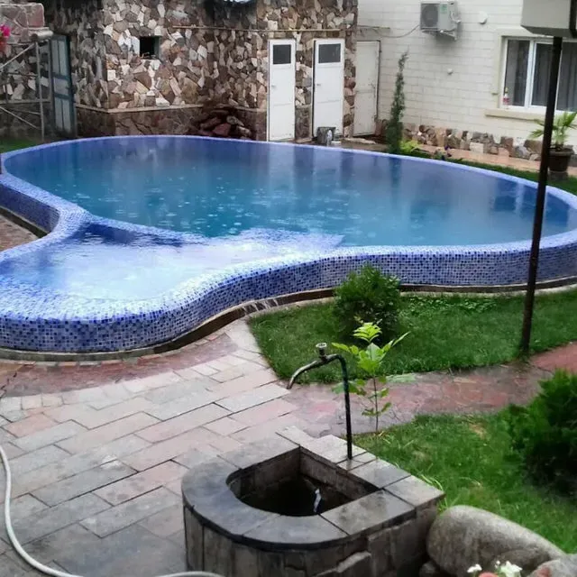 Чаша бассейна с оригинальной формой и зелеными растениями вокруг