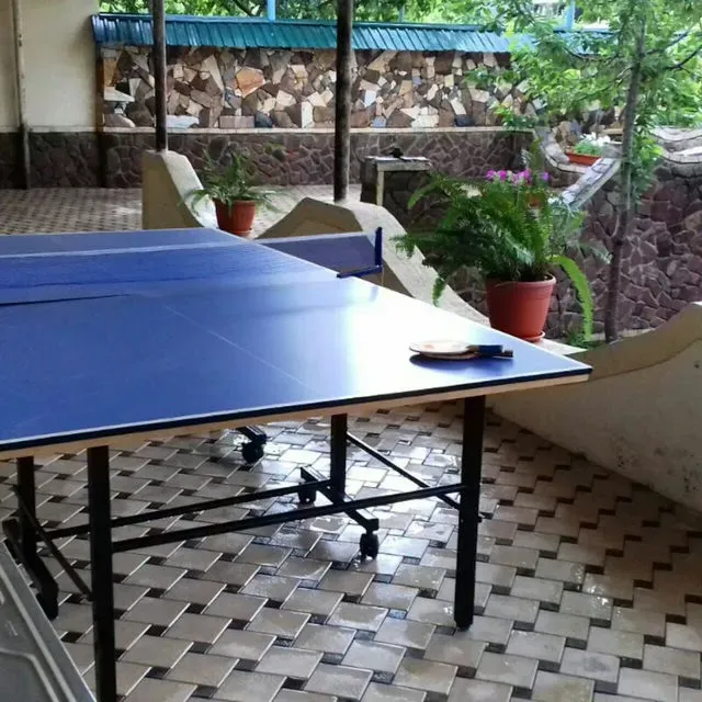 Стол для пинг-понга под крышей в саду