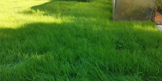 Настройщик полива с цифровым дисплеем и таймером