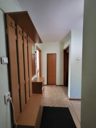 Интерьер гостиной с диваном и растениями