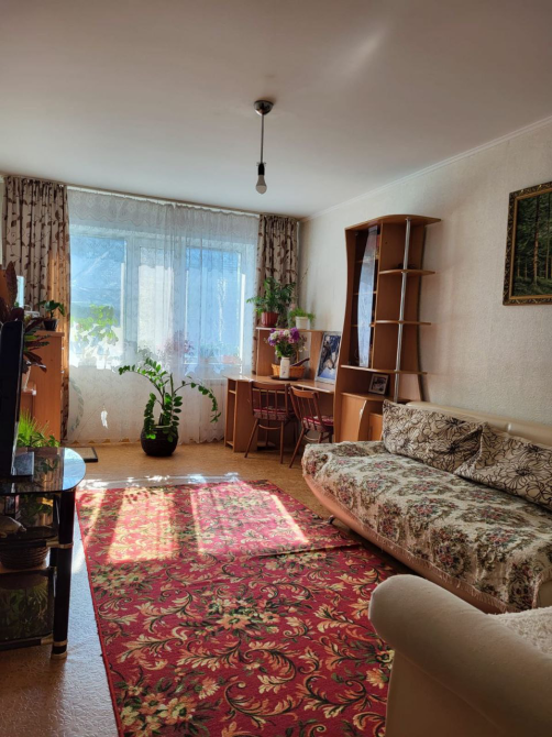 Интерьер гостиной с диваном и растениями