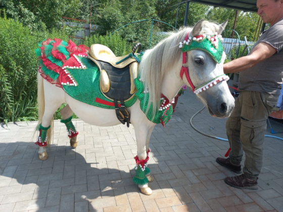 Коляска в виде кареты на улице с мужчиной в традиционной одежде