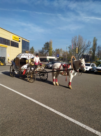 Коляска в виде кареты на улице с мужчиной в традиционной одежде