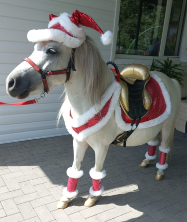 Коляска в виде кареты на улице с мужчиной в традиционной одежде