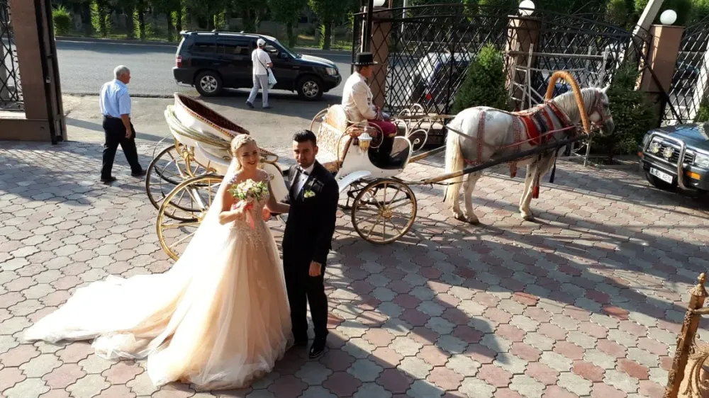 Свадебная пара стоит на ступенях, позирующая для фотографии на фоне кареты с лошадью