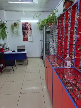 Интерьер оптики с витринами и растениями