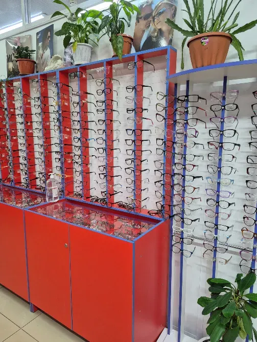 Оформление оптики с разнообразием оправ и зелеными растениями